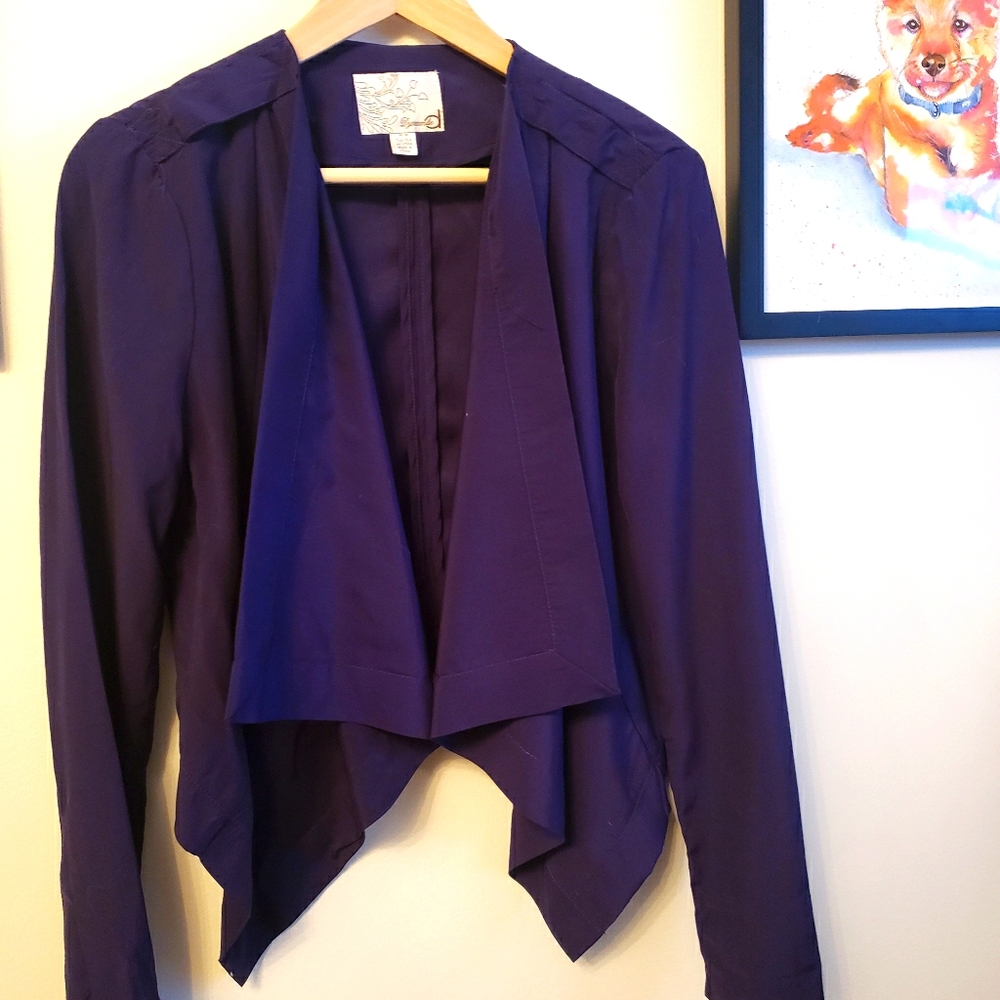 Blazer - Picture 1 of 1